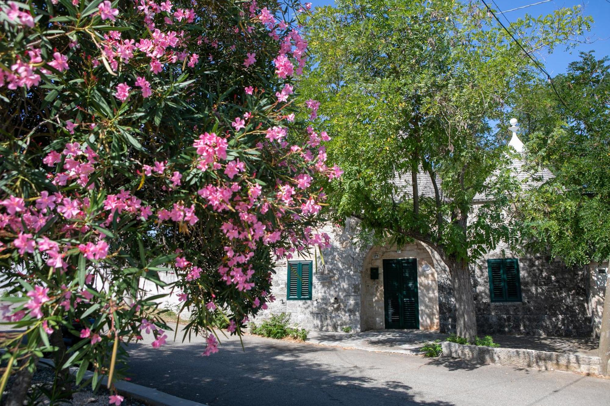Angolo Di Puglia لوكوروتوندو المظهر الخارجي الصورة